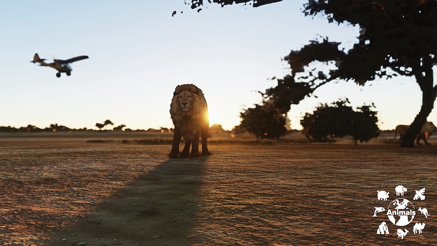 À la découverte du monde animal avec le nouvel add-on de SoFly