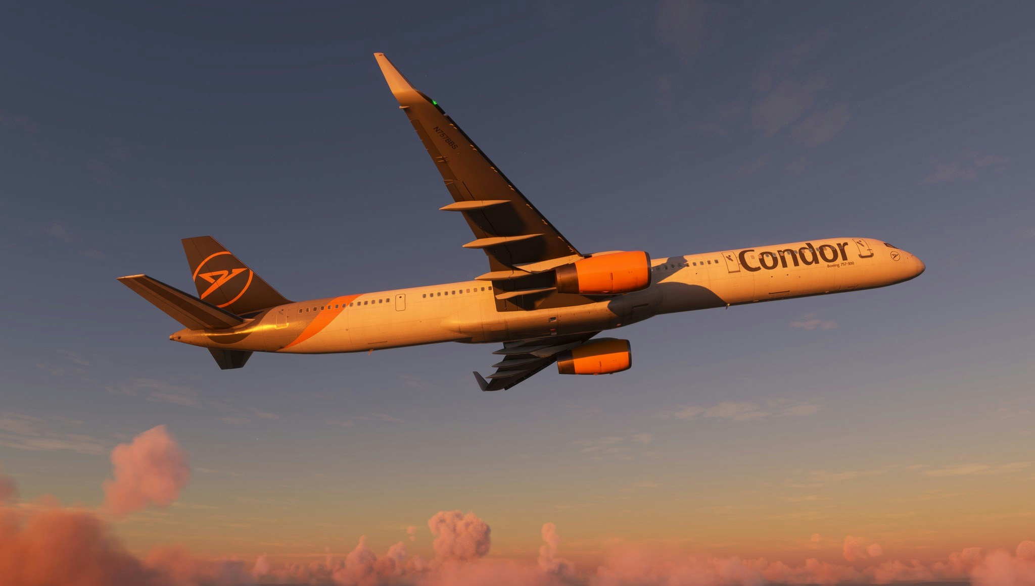 BlueBird Simulations optimiste pour la sortie des simulations du Boeing 757 et 767 en 2024